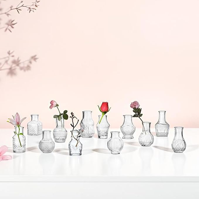 Clear Glass Bud Vase Cute Mini Vases 12Pcs EylKoi Flowers Vintage Small Glass Tiny in Bulk Different Shape Modern Set Lovely for Decor Table Wedding Home Table Centerpieces Dinning Party