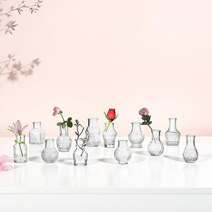 Clear Glass Bud Vase Cute Mini Vases 12Pcs EylKoi Flowers Vintage Small Glass Tiny in Bulk Different Shape Modern Set Lovely for Decor Table Wedding Home Table Centerpieces Dinning Party