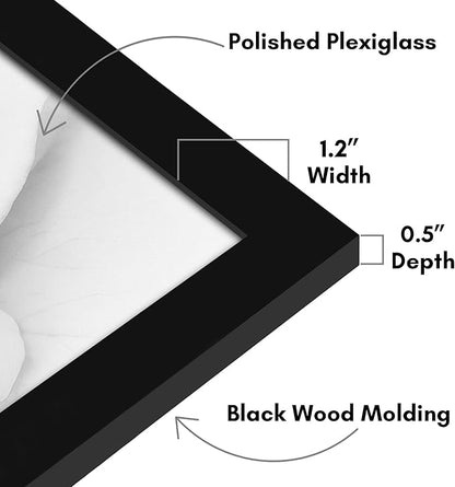 Americanflat 28x29 Poster Frame with Polished Plexiglass - Black Picture Frame - Wide Photo Frames Made of Engineered Wood for Vertical or Horizontal Wall Display - Epic Collection - Black