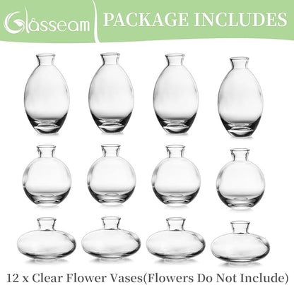 Glass Bud Vase for Centerpieces: 12Pcs Glasseam Clear Mini Small Vases for Flowers Bulk Flower Vase Set Aesthetic Cute Handmade Tiny Short Wedding Table Centerpiece Decor