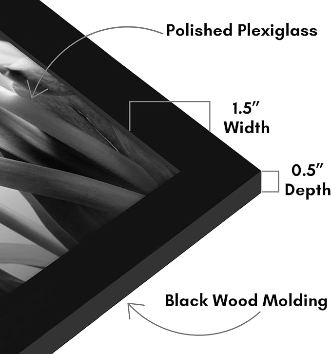 Americanflat 14x16 Picture Frame with Polished Plexiglass - Black Picture Frame - Wide Photo Frames Made of Engineered Wood for Vertical or Horizontal Wall Display - Epic Collection - Black