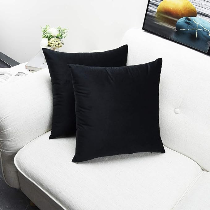 Artaimee Black Velvet Throw Pillow Covers 18x18 Inch, Pack of 2 – Soft Decorative Cushion Cases for Sofa, Couch, Bed & Living Room Décor, Double-Sided Plush Square Pillowcases 45x45 cm