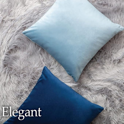 lalaLOOM Velvet Throw Pillow Covers, Set of 2, 24x24 Decorative Square Pillows Home Decor, Soft Accent Cases, Silky Machine Washable Pillowcases for Sofa, Couch, Bedroom, Living Room, Peacock