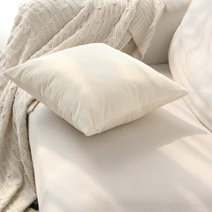 Set of 2 Comfortable Throw Pillow Cover for Bedding, Decorative Accent Cushion Sham Case for Couch Sofa, Soft Solid Velvet with Zipper Hidden - 20"x20", Ivory
