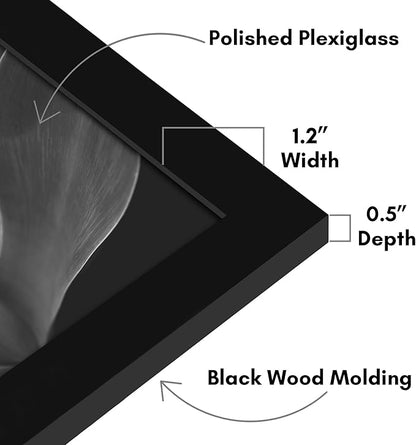 Americanflat 17x19 Picture Frame with Polished Plexiglass - Black Picture Frame - Wide Photo Frames Made of Engineered Wood for Vertical or Horizontal Wall Display - Epic Collection - Black