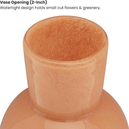 Torre & Tagus 6" Mouth Blown Art Glass Vase for Flowers - Apricot Orange Small Table Vase & Handmade Small Orange Accent as Cozy Home Decor, Neutral Bud Vases for Decorative Shelf Decor or Wedding