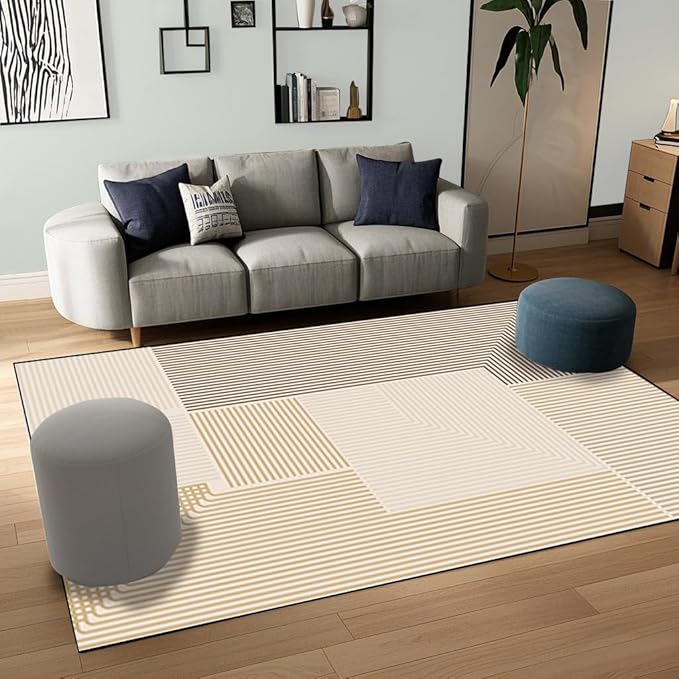 Abstract Washable Area Rug 4x6Ft Soft Non Slip Durable High Traffic Rug for Living Room, Bedroom & Home Office