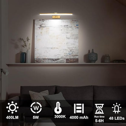 FUNCHDAY Picture Light Wireless,17inch Picture Light Battery Operated,Remote Control Painting Light with Timer and Dimmable,Full Metal Art Light for Display,Wall,Artwork,Portrait,Gallery (Brass)