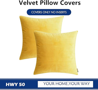 HWY 50 Yellow Velvet Throw Pillow Covers 16x16 Inch, Pack of 2 Soft Cozy Solid Decorative Luxury Cushion Cases for Couch Sofa Bed Living Room Bedroom