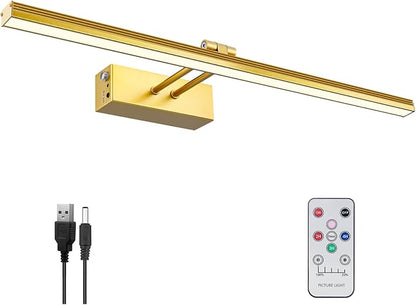 FUNCHDAY Picture Light,Battery Art Lights for Wall,Wireless Remote Painting Light with Timer and Dimmable,20”Metal Display Lighting for Artwork,Portrait,Gallery-Gold