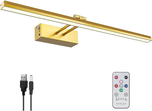 FUNCHDAY Picture Light,Battery Art Lights for Wall,Wireless Remote Painting Light with Timer and Dimmable,20”Metal Display Lighting for Artwork,Portrait,Gallery-Gold