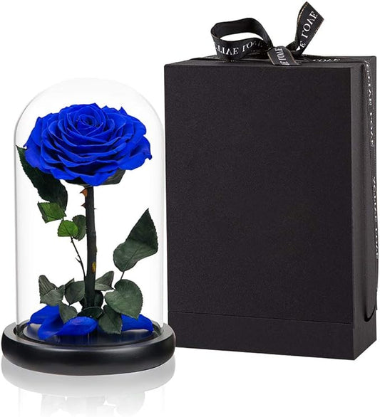 Preserved Roses Handmade Rose in Glass Dome, Preserved Flowers Never Withered Romantic Gifts for Her, Mother's Day, Birthday Gifts for Women (9 inch, Blue)