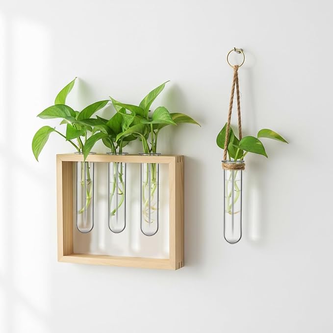 Housoutil Glass Test Tubes for Plants, 5PCS Glass Propagation Tubes for Plants, Test Pipe Vase for Scientific Experiments, Party Office and Home Decorations, Flowers Desktop Propagation