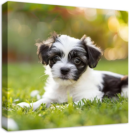 YYYYHPP Canvas Prints with Your Photos, Personalized Photo to Canvas Wall Art,Canvas Printing for Wedding, Family, Baby, Pets, Home Office Decor, Wrapped Frame 10"x10"