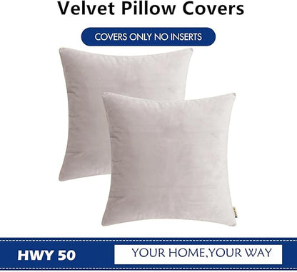 HWY 50 Silver Gray Velvet Throw Pillow Covers 22x22 Inch, Pack of 2 Soft Cozy Solid Decorative Luxury Cushion Cases for Couch Sofa Bed Living Room Bedroom