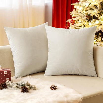 EMEMA Pack of 2 Velvet Throw Pillow Covers Decorative Square Pillowcase Soft Solid Cushion Case for Sofa Bedroom Chair Car 24x24 Inch Cream White