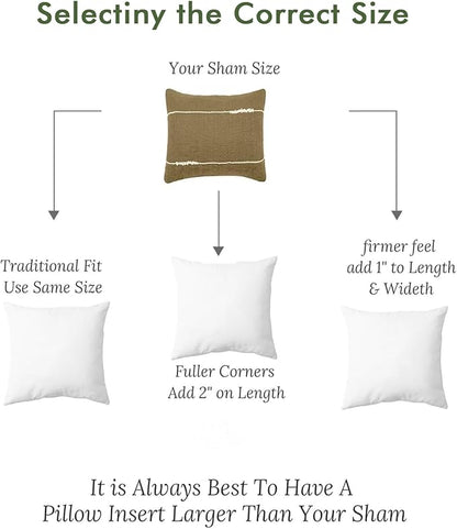 Feathers Down Pillow Inserts 14x14, Set of 2, 100% Organic Cotton Shell, Soft Decorative Square Throw Pillows for Living Room Sofa, Couch, or Bed (White)