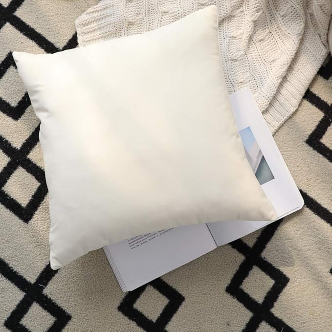 Set of 2 Comfortable Throw Pillow Cover for Bedding, Decorative Accent Cushion Sham Case for Couch Sofa, Soft Solid Velvet with Zipper Hidden - 14"x14", Ivory