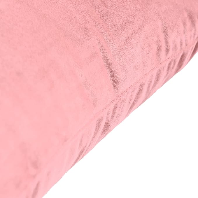 FY FIBER HOUSE Pack of 2 Velvet Throw Pillow Covers Decorative Square Pillowcase Soft Solid Cushion Case for Sofa/Couch Use, 20 x 20 Inch Pink