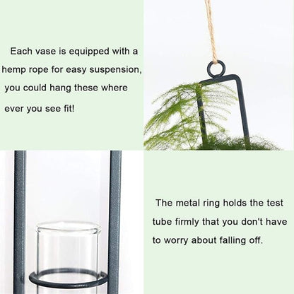 Sziqiqi Hanging Clear Glass Propagation Tube Vase for Cuttings, Hydroponic Plant Propagation Home Balcony Floral Container Wall Decoration Black 2ps (L+L)