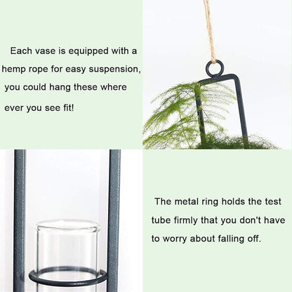 Sziqiqi Glass Propagation Station Test Tube Vases Clear Glass for Cuttings, Buds, Greenery Hydroponic Plant Propagation Home Balcony Bath Wall Decoration Floral Container Set of 3 Black