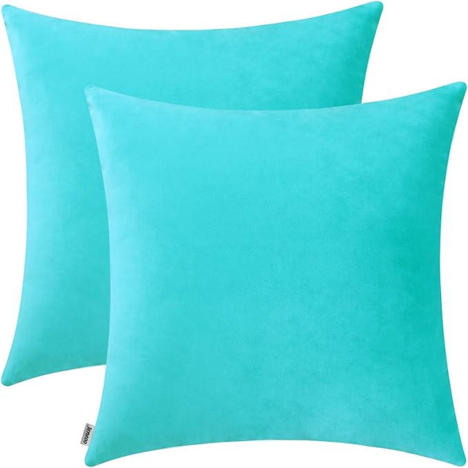 Jeneoo Comfy Soft Thick Velvet Throw Pillow Covers Decorative Solid Square Couch Cushion Cases for Home Bedroom Car Decor (Turquoise, 20 x 20 Inches, 2 Pieces)