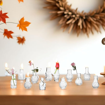 Clear Glass Bud Vase Cute Mini Vases 24Pcs EylKoi Flowers Vintage Small Glass Tiny in Bulk Different Shape Modern Set Lovely for Decor Table Wedding Home Table Centerpieces Dinning Party