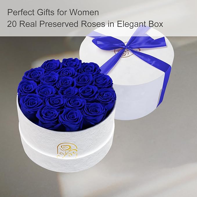 Gifts for Women Preserved Roses Flower Box, Luxury Velvet Box with 20 Roses, Preserved Flowers, Romantic Gift for Her, Wife, Girlfriend, Birthday Anniversary Christmas (Royal Blue)