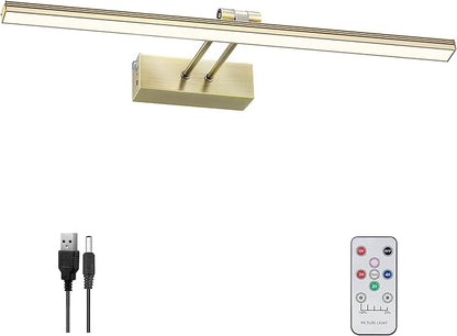 FUNCHDAY Picture Light,Battery Art Lights for Wall,Wireless Remote Painting Light with Timer and Dimmable,20”Metal Display Lighting for Artwork,Portrait,Gallery-Antique Brass