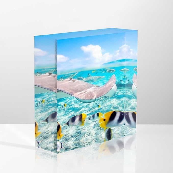 Women Congratulations Summer Colorful Fish Underwater Acrylic Desktop Ornament 4 x 4 Inch Graduation Present for Friends, Office Staff, Boss Female