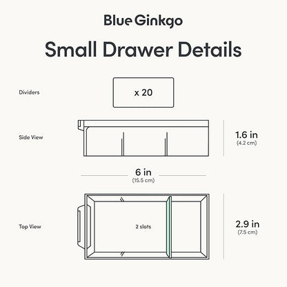 Blue Ginkgo Small 20-Drawer Cabinet – Stackable Clear Organizer for Hardware, Beads, Plastic Bricks, Office, and Craft Storage (Made in Korea, Blue)