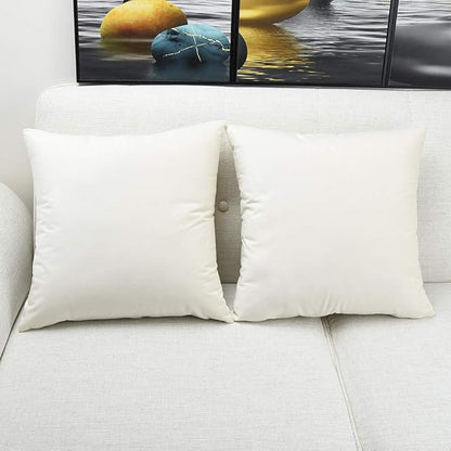 Artaimee Ivory White Velvet Throw Pillow Covers (18x18 Inches, Pack of 2) – Soft & Cozy Cushion Cases for Sofa, Bed, Couch, Office, & Car – Hidden Zipper, Decorative Accent for Living Room & Bedroom