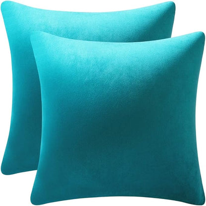 Throw Pillow Cases 16x16 Turquoise: 2 Pack Cozy Soft Velvet Square Decorative Pillow Covers for Farmhouse Home Decor