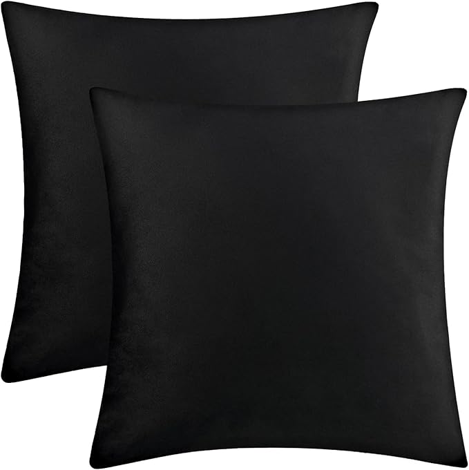 2 Pack 16x16 Pillow Cover Velvet Pillow Covers, Square Throw Pillow Covers for Living Room Decorations Throw Pillow Case, Throw Pillow Cover Cushion Cover for Sofa Bedroom Car, Black Velvet