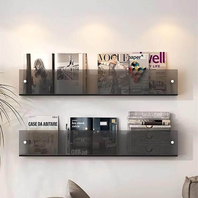 ROYALITA 2-Pack Acrylic Magazine Holder Brochure Holder, 17" Record Holder Magazine Rack, Fashion Hanging Bookshelf Literature Storage Rack for Waiting Room, Living Room, Office, Gray, 17 Inch