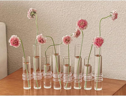 8PCS Test Tube Vases Decorative Glass Flower Vase Hinged Flower Vases Planter Flower Arranging Container Hydroponic Flower Holder Decor with 15PCS Hooks and 2PCS Brushes (VASES-B)