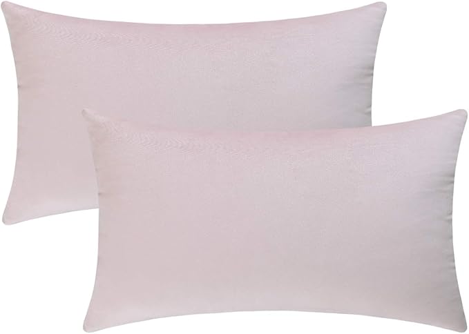 Jeneoo Set of 2 Comfy Soft Velvet Lumbar Throw Pillow Covers for Sofa Couch, Decorative Solid Rectangle Cushion Cases for Bedroom Car (12 x 20 Inches, Baby Pink)