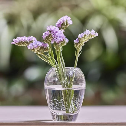 CHIVE ‘George’ Glass Bottle Flower Vases — Set of 6 — Small, Elegant Clear Glass Bud Vases — Bulk Pack for Home Decor & Table Centerpieces — Shape 1 (Oval, 4” Tall, 3” Wide)