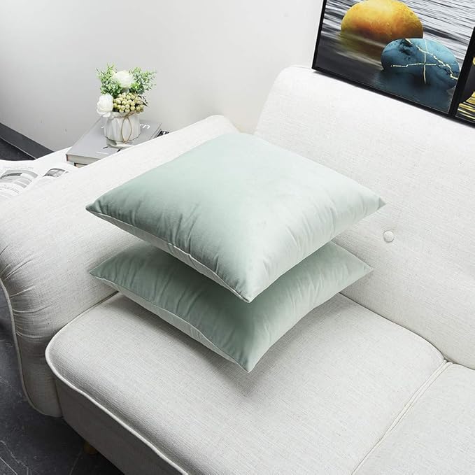 Artaimee Celadon Velvet Throw Pillow Covers 18x18 Inches (Pack of 2) | Soft and Cozy Cushion Covers for Sofa, Bed, Chair, Office | Machine Washable, Decorative Velvet Pillowcases
