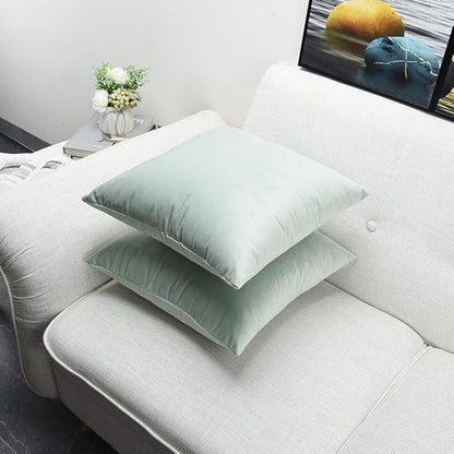 Artaimee Celadon Velvet Throw Pillow Covers 18x18 Inches (Pack of 2) | Soft and Cozy Cushion Covers for Sofa, Bed, Chair, Office | Machine Washable, Decorative Velvet Pillowcases