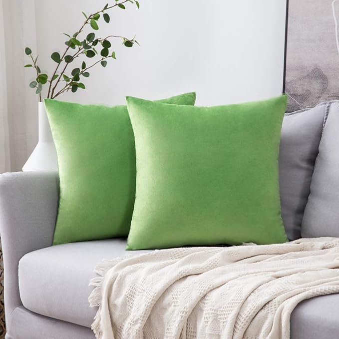 MIULEE Velvet Throw Pillow Covers 18x18 Inch, Pack of 2 - Lime Green, Soft Solid Decorative Pillow Covers Cushion Cases Modern Luxury Home Decor for Spring Couch Sofa Bedroom Livingroom