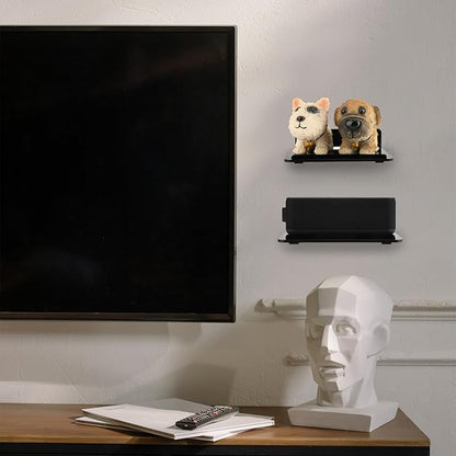 Cosmos Set of 2 Acrylic Floating Wall Shelves Hanging Shelves, Adhesive Wall Display Shelf Stand for Plant Pot, Speaker, Security Camera, Figures in Office and Home, 7.8 x 5.8 Inch (Solid Black)