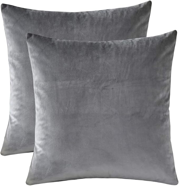 Set of 2 Comfortable Throw Pillow Cover for Bedding, Decorative Accent Cushion Sham Case for Couch Sofa, Soft Solid Velvet with Zipper Hidden - 20"x20", Dolphin Gray
