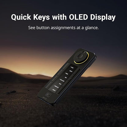 Xencelabs Pen Display 24, Drawing Tablet with 4K Screen Monitor, 99% Adobe RGB Graphic Drawing Display with 40 Customizable Quick Keys, 2 Battery-Free Pens, 8192 Levels Pressure for Win/Mac/Linux
