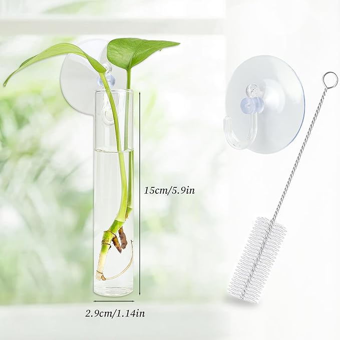 4PCS Wall Hanging Planter Propagation Stations, Plant Tube with Suction Cup Hook, Test Tube Propagation Station Wall Clear Plant Vase No Nails with Bottle Brush Flower Plant Terrarium