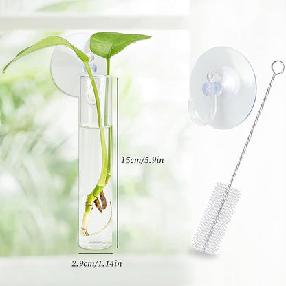 4PCS Wall Hanging Planter Propagation Stations, Plant Tube with Suction Cup Hook, Test Tube Propagation Station Wall Clear Plant Vase No Nails with Bottle Brush Flower Plant Terrarium
