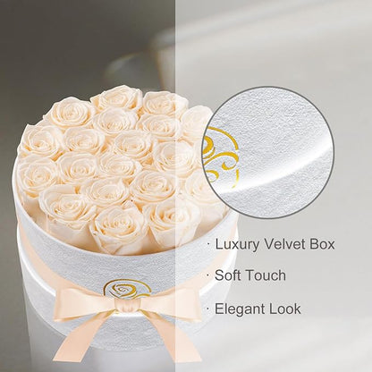 Gifts for Women Preserved Roses Flower Box, Luxury Velvet Box with 20 Roses, Preserved Flowers, Romantic Gift for Her, Wife, Girlfriend, Birthday Anniversary Christmas (Buttermilk)