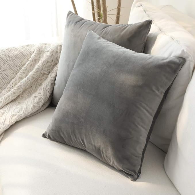 Set of 2 Comfortable Throw Pillow Cover for Bedding, Decorative Accent Cushion Sham Case for Couch Sofa, Soft Solid Velvet with Zipper Hidden - 20"x20", Dolphin Gray