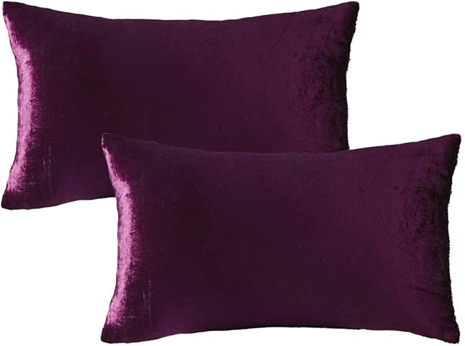 Purple Velvet Decorative Throw Pillow Covers for Sofa Bed 2 Pack Soft Cushion Cover