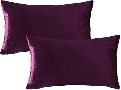 Purple Velvet Decorative Throw Pillow Covers for Sofa Bed 2 Pack Soft Cushion Cover